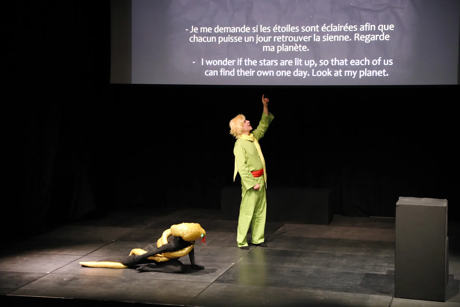 Little Prince — photo 25
