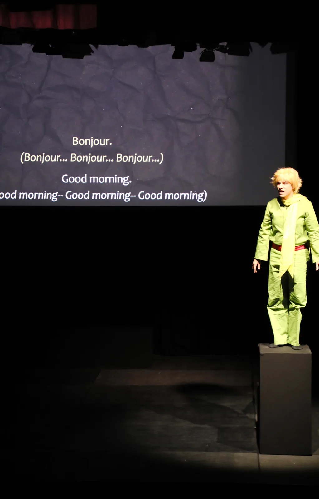 Little Prince — photo 26
