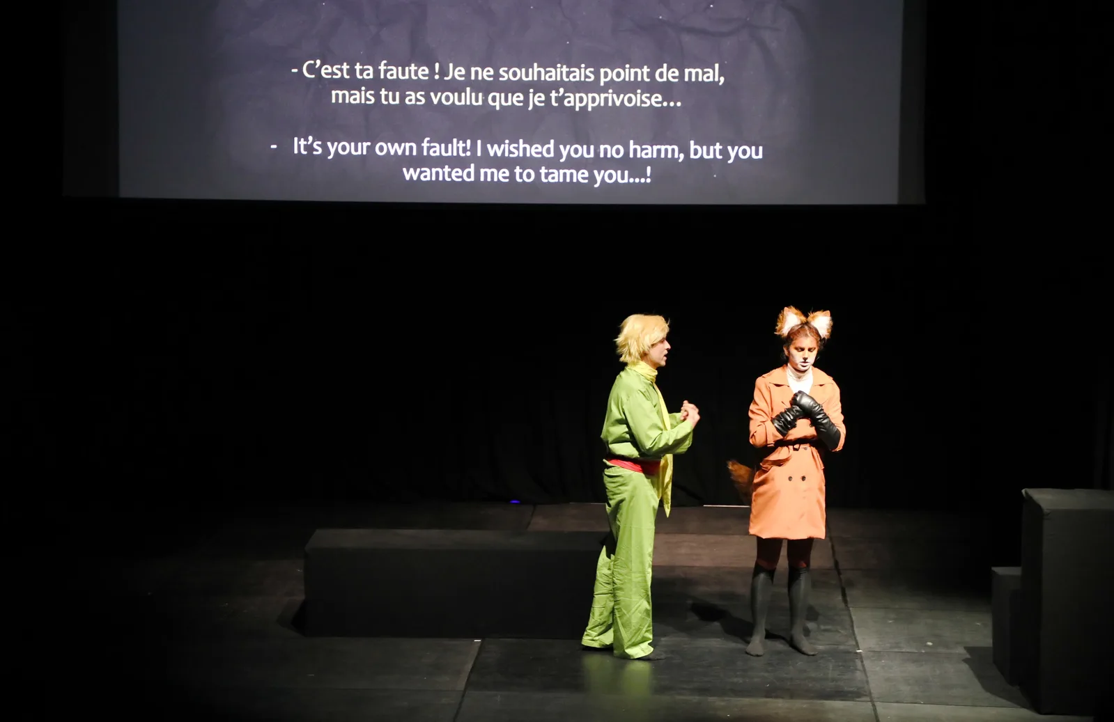 Little Prince — photo 33