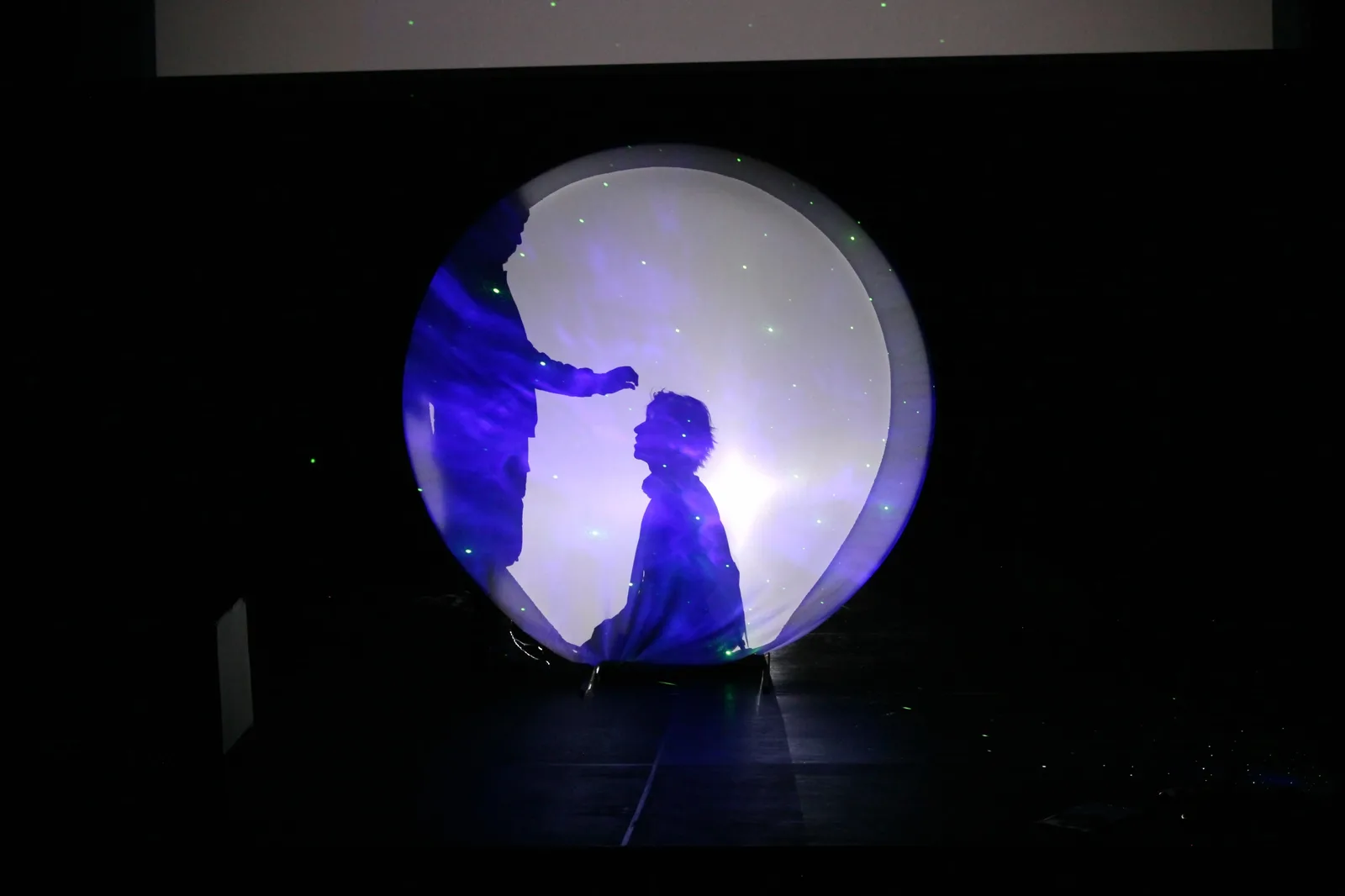 Little Prince — photo 38