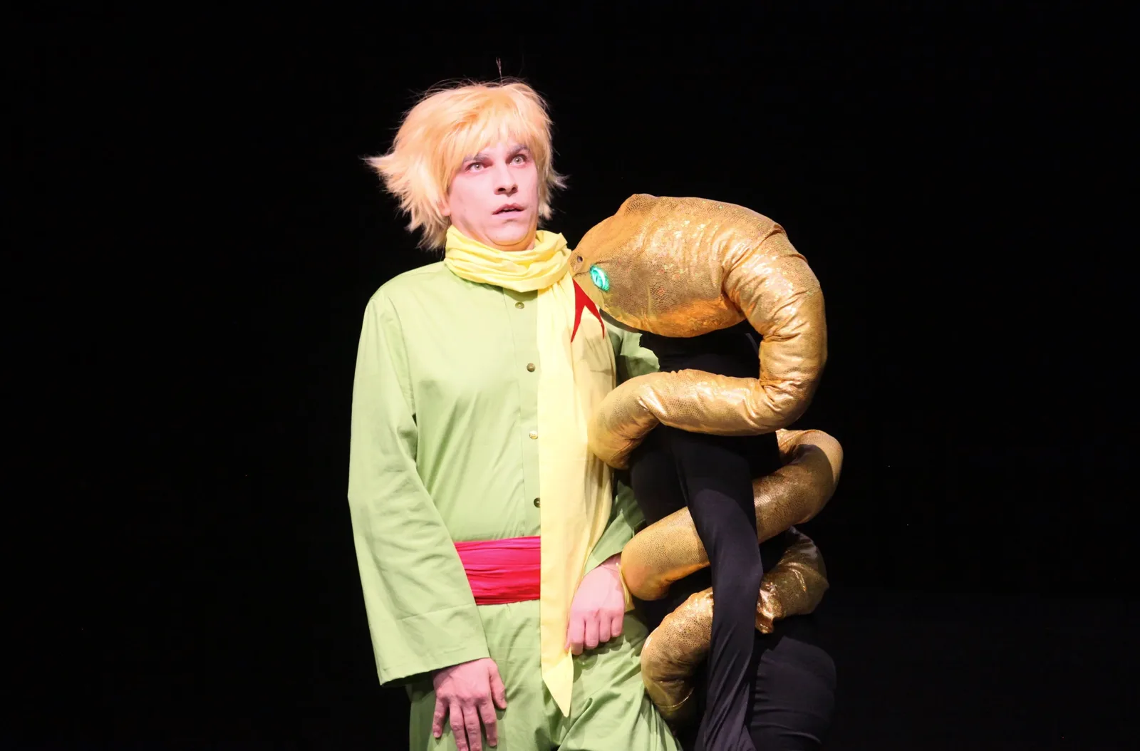 Little Prince — photo 4