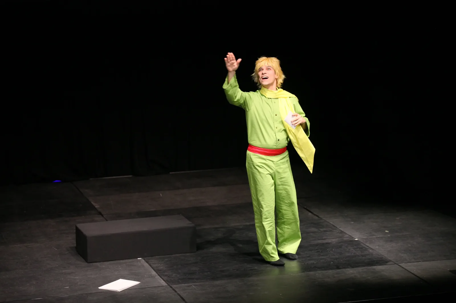 Little Prince — photo 40