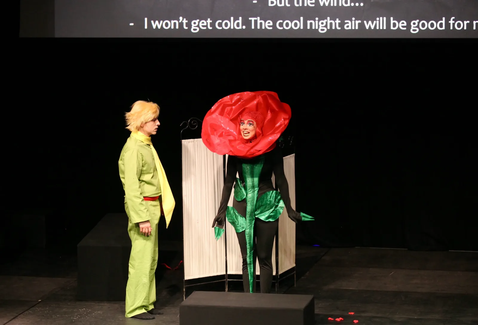 Little Prince — photo 43