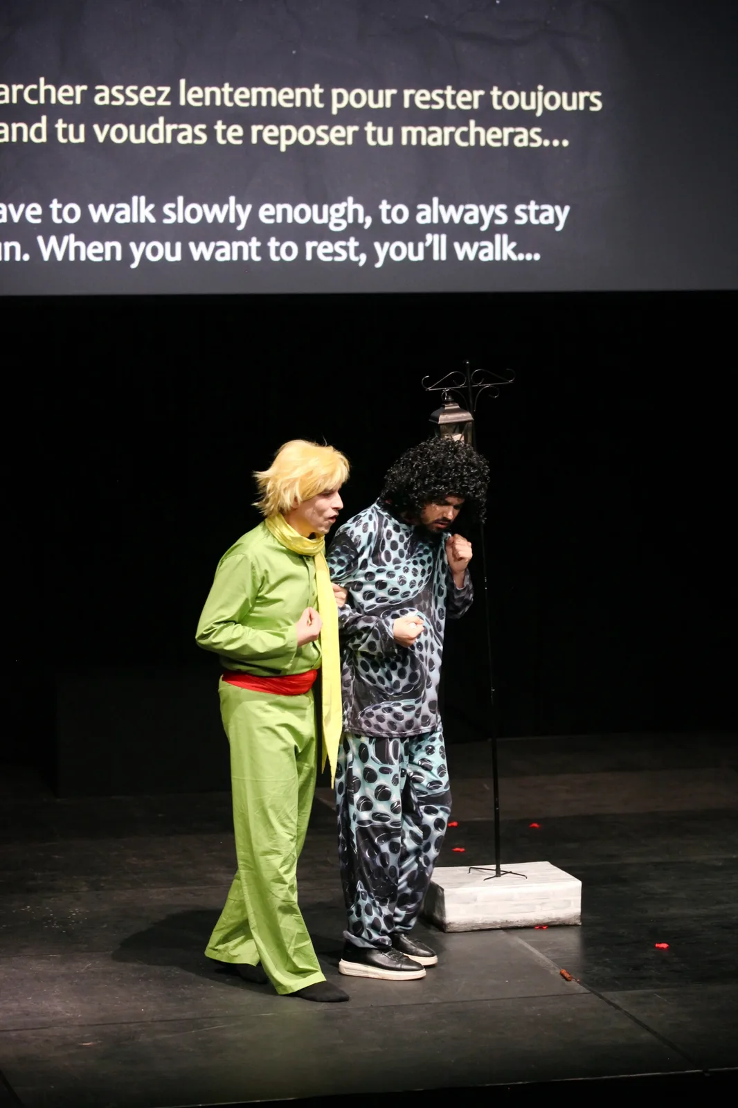 Little Prince — photo 49