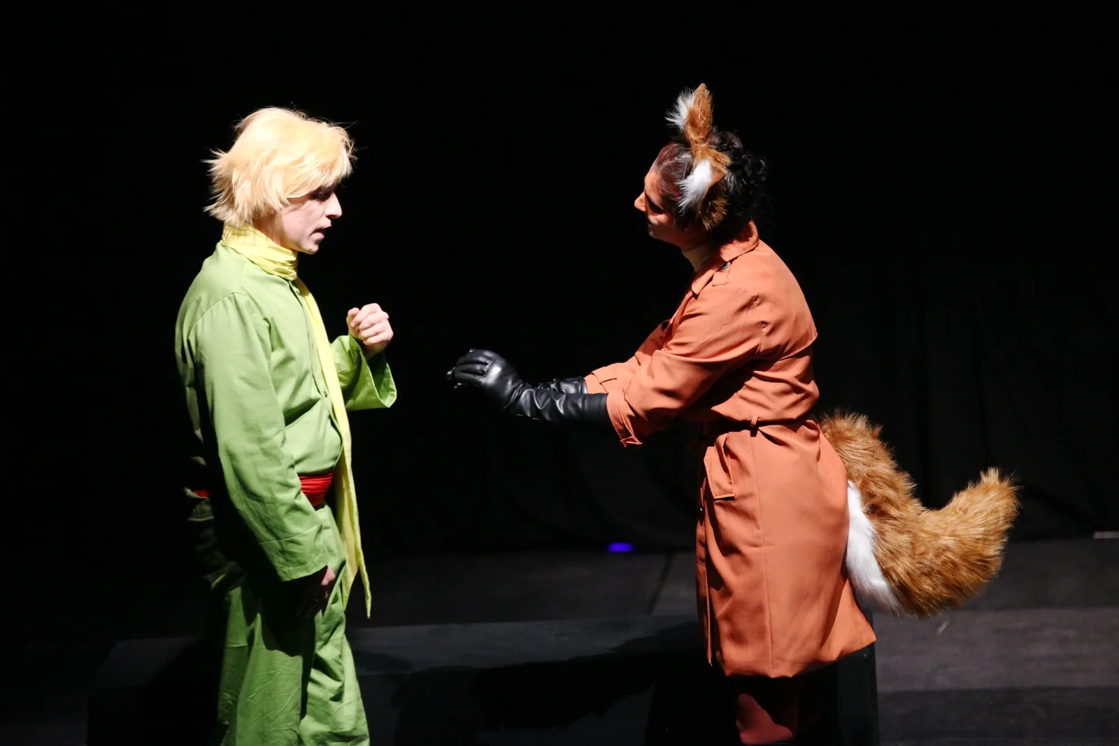 Little Prince — photo 8