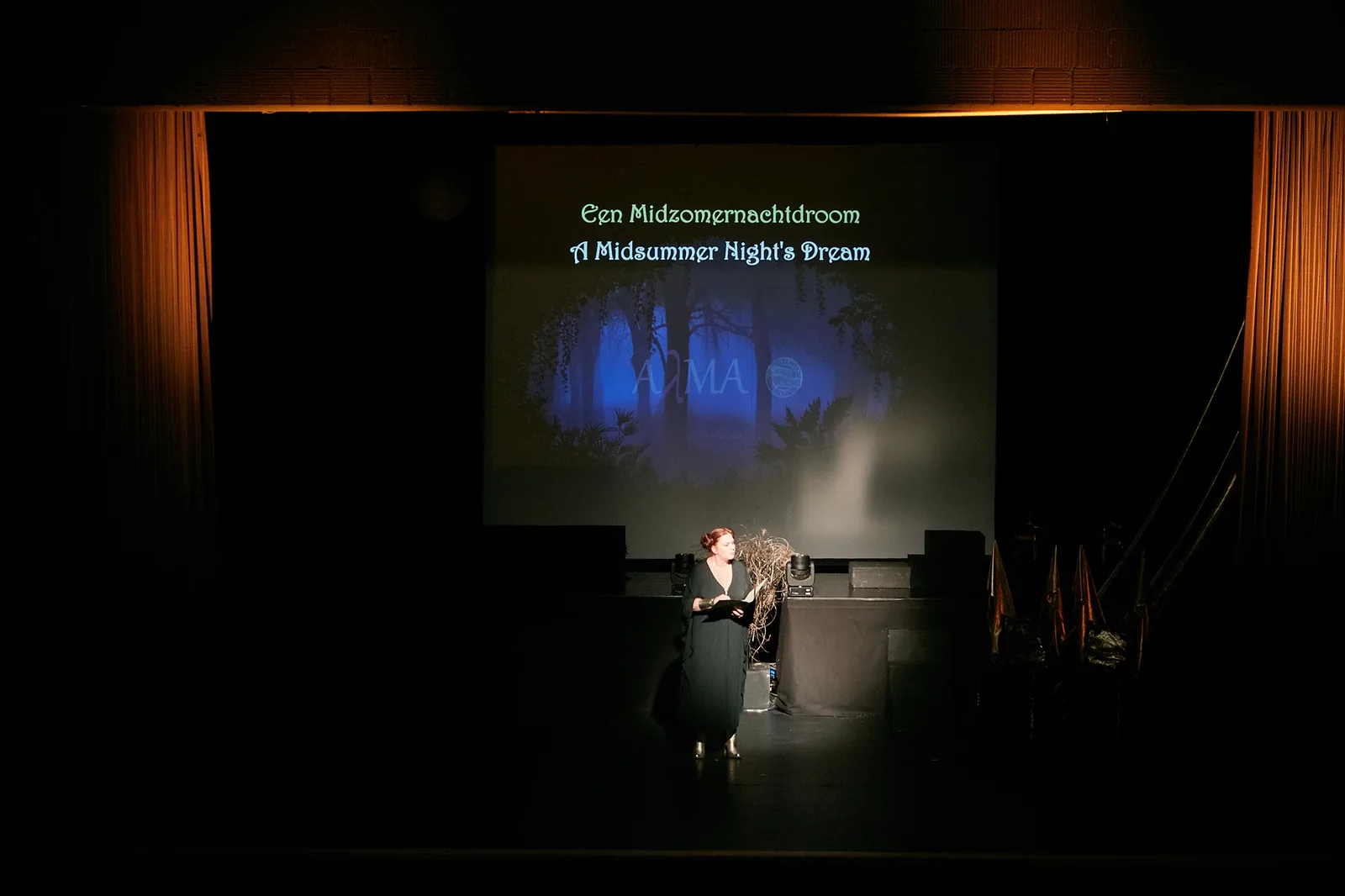 Midsummer — photo 2